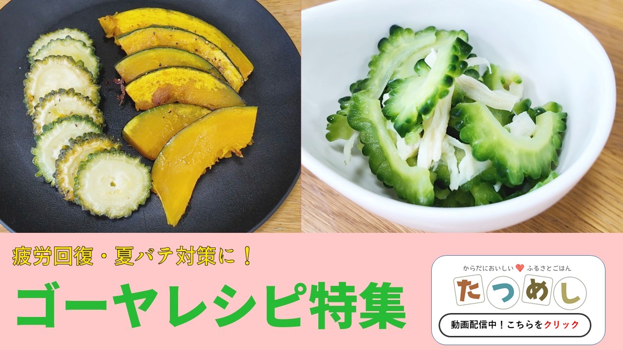 たつめしyoutube9月