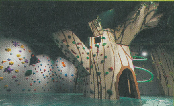 (画像)アラパの森 ボルダリングルーム1(初心者・中級者向け)の写真
