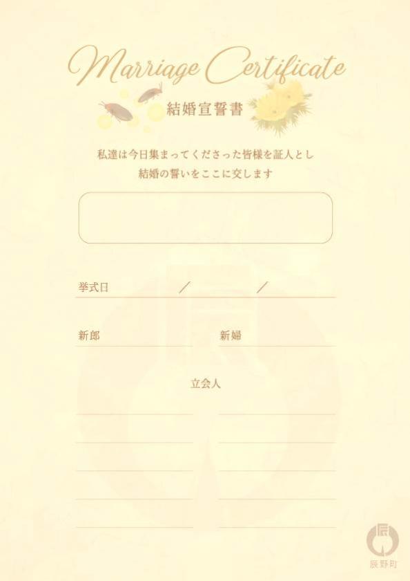 オリジナル婚姻届(日本のど真ん中)結婚証明書のイメージ画像