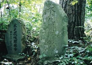 茂みの中に木花開耶姫命の石碑2基が祀られている写真