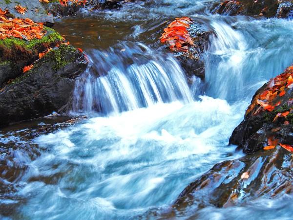 岩を流れる横川の蛇石の写真画像