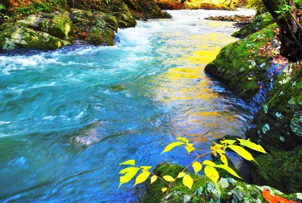 穏やかな流れの横川の蛇石の写真画像