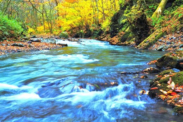 横川の蛇石の写真画像