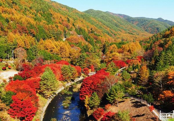 紅葉と横川ダムの写真画像