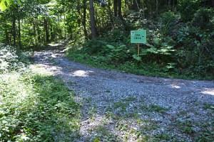 砂利道の分岐点8の写真画像
