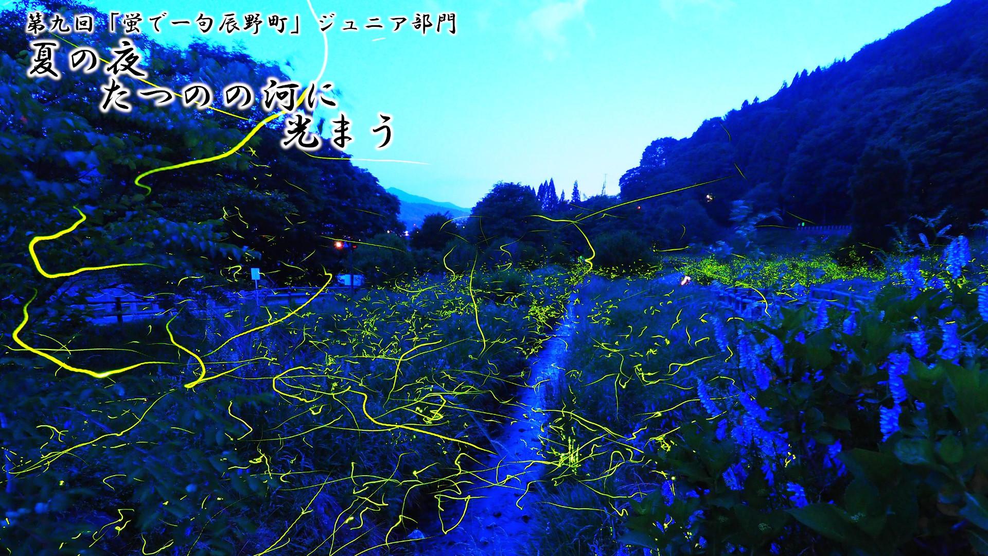 「夏の夜 たつのの河に 光まう」写真画像