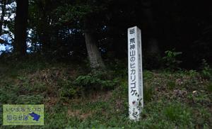 荒神山のヒカリゴケの記念碑