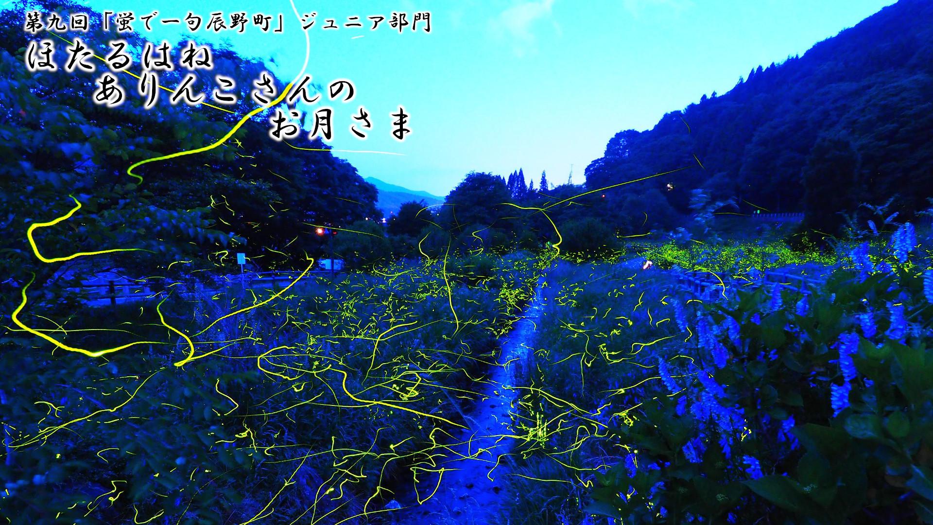 「ほたるはね ありんこさんの お月さま」写真画像