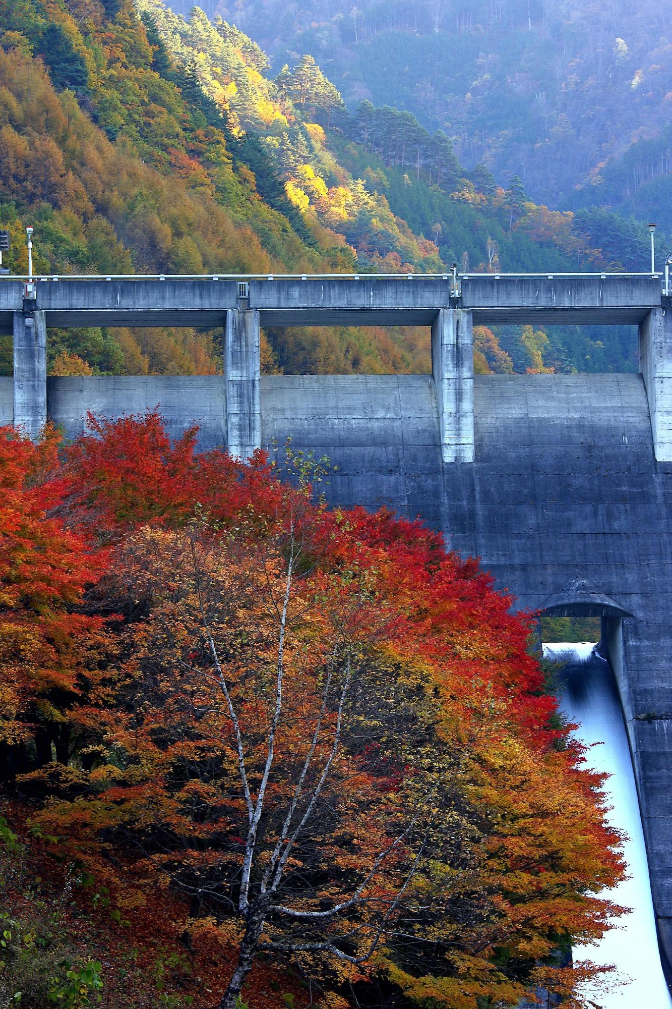 手前に紅葉、奥に陸橋のある横川渓谷の紅葉の様子の写真