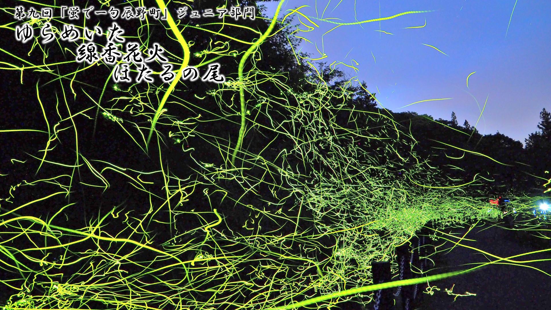 「ゆらめいた 線香花火 ほたるの尾」写真画像