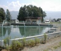 柵に囲まれたプールのような池の画像
