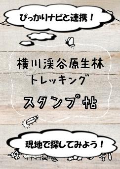 ぴっかりナビと連携! 横川渓谷原生林トレッキングスタンプ帖 現地で探してみよう! の画像
