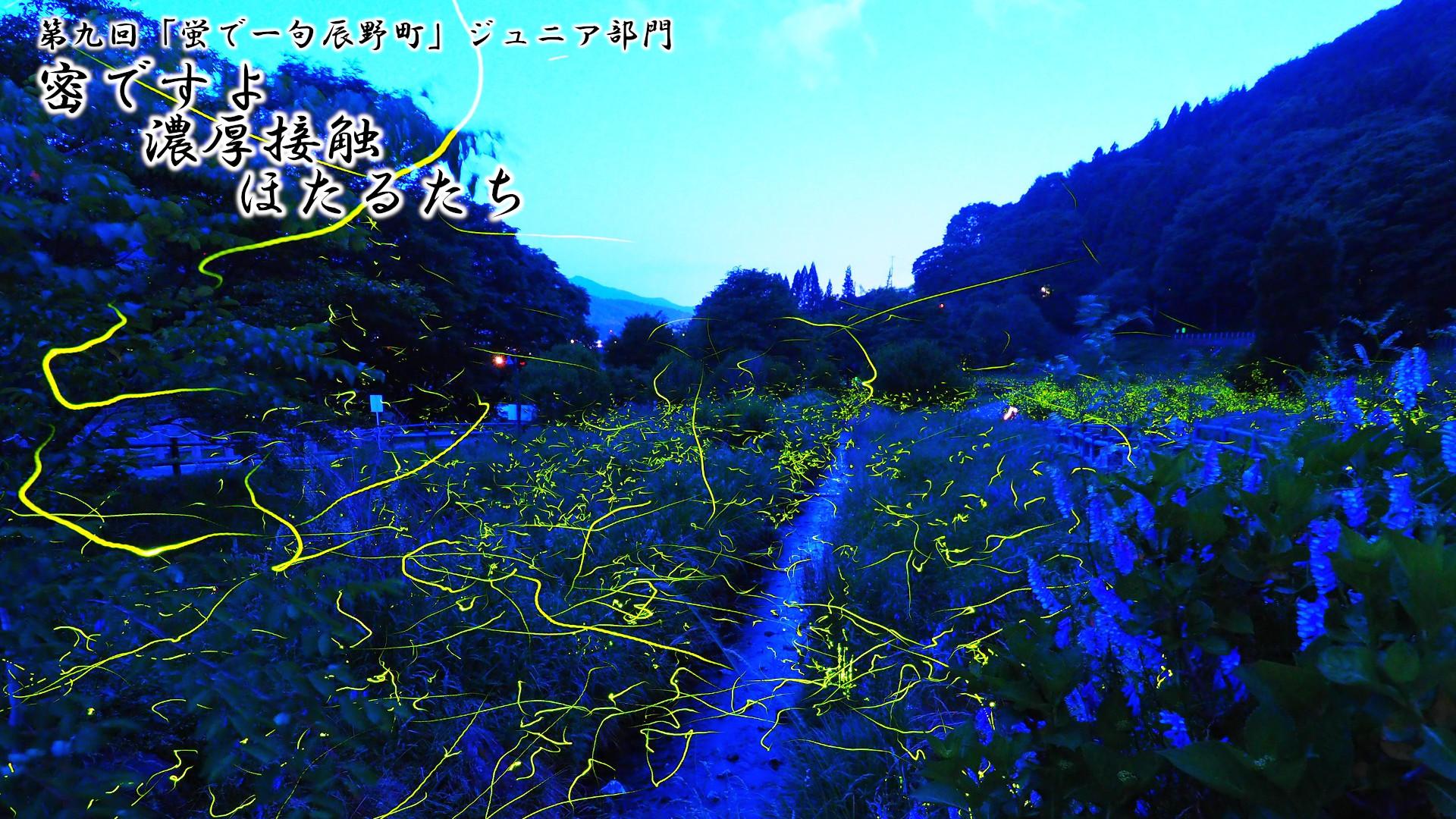 「密ですよ 濃厚接触 ほたるたち」写真画像