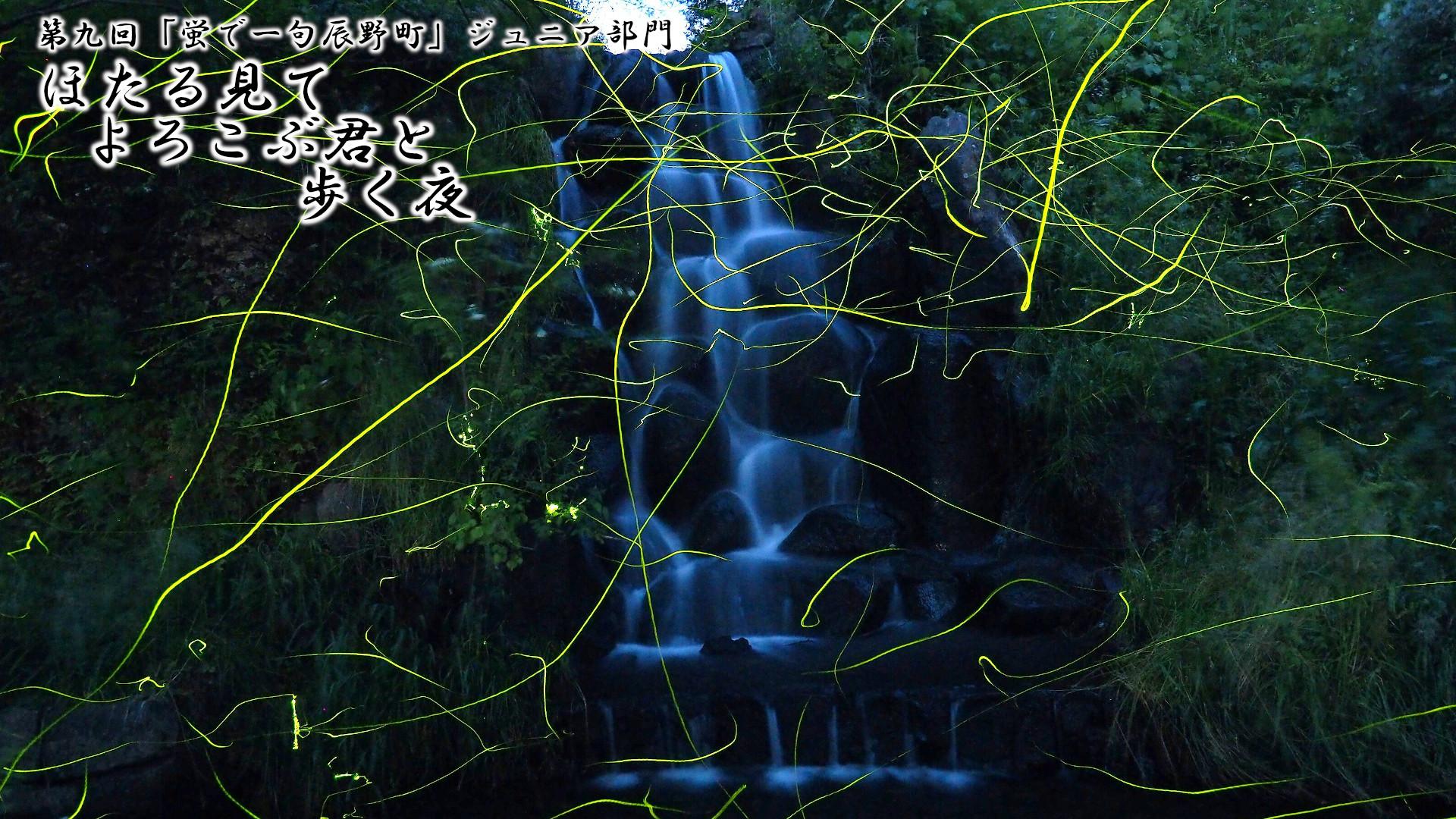 「ほたる見て よろこぶ君と 歩く夜」写真画像