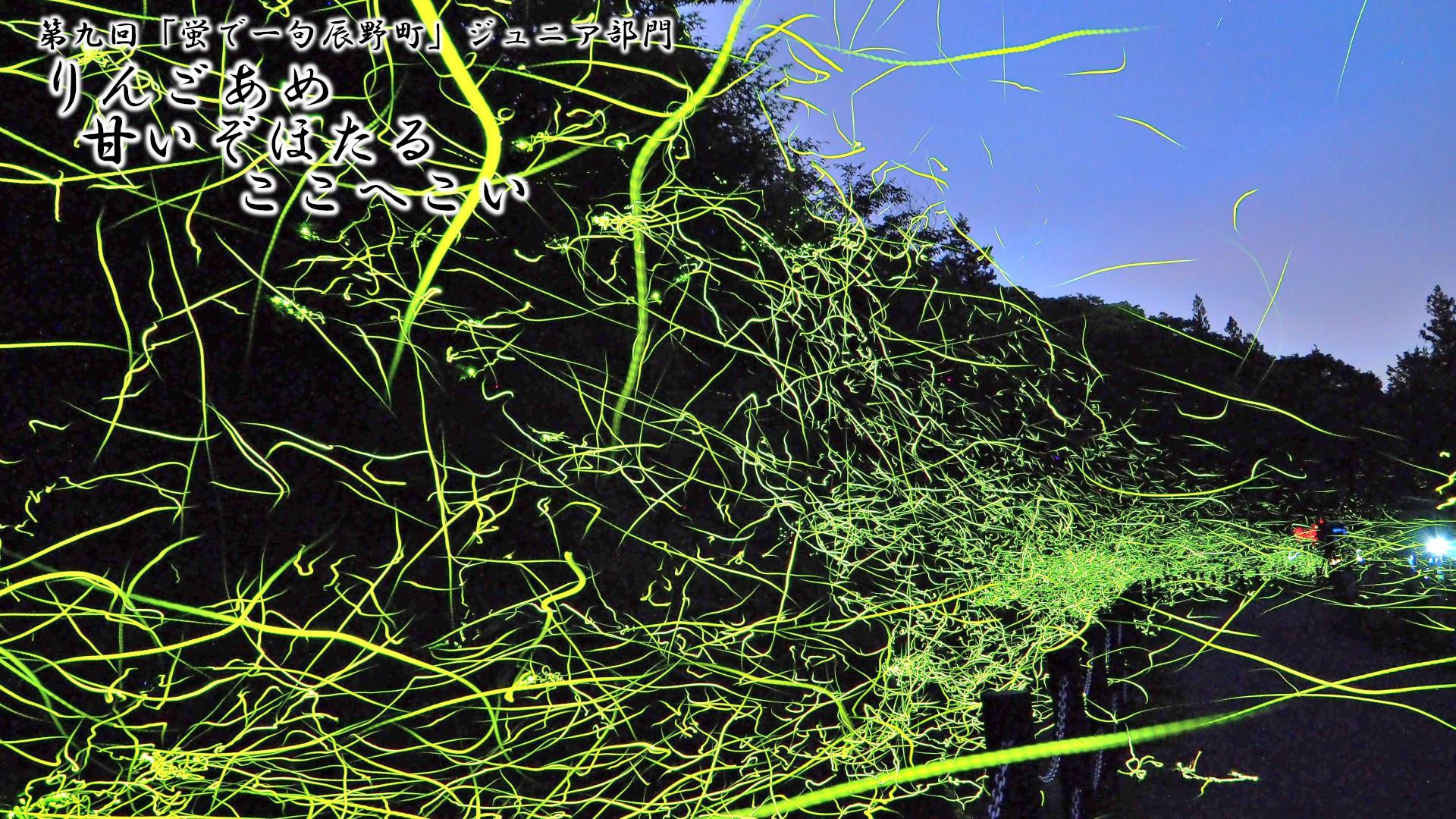「りんごあめ 甘いぞほたる ここへこい」写真画像