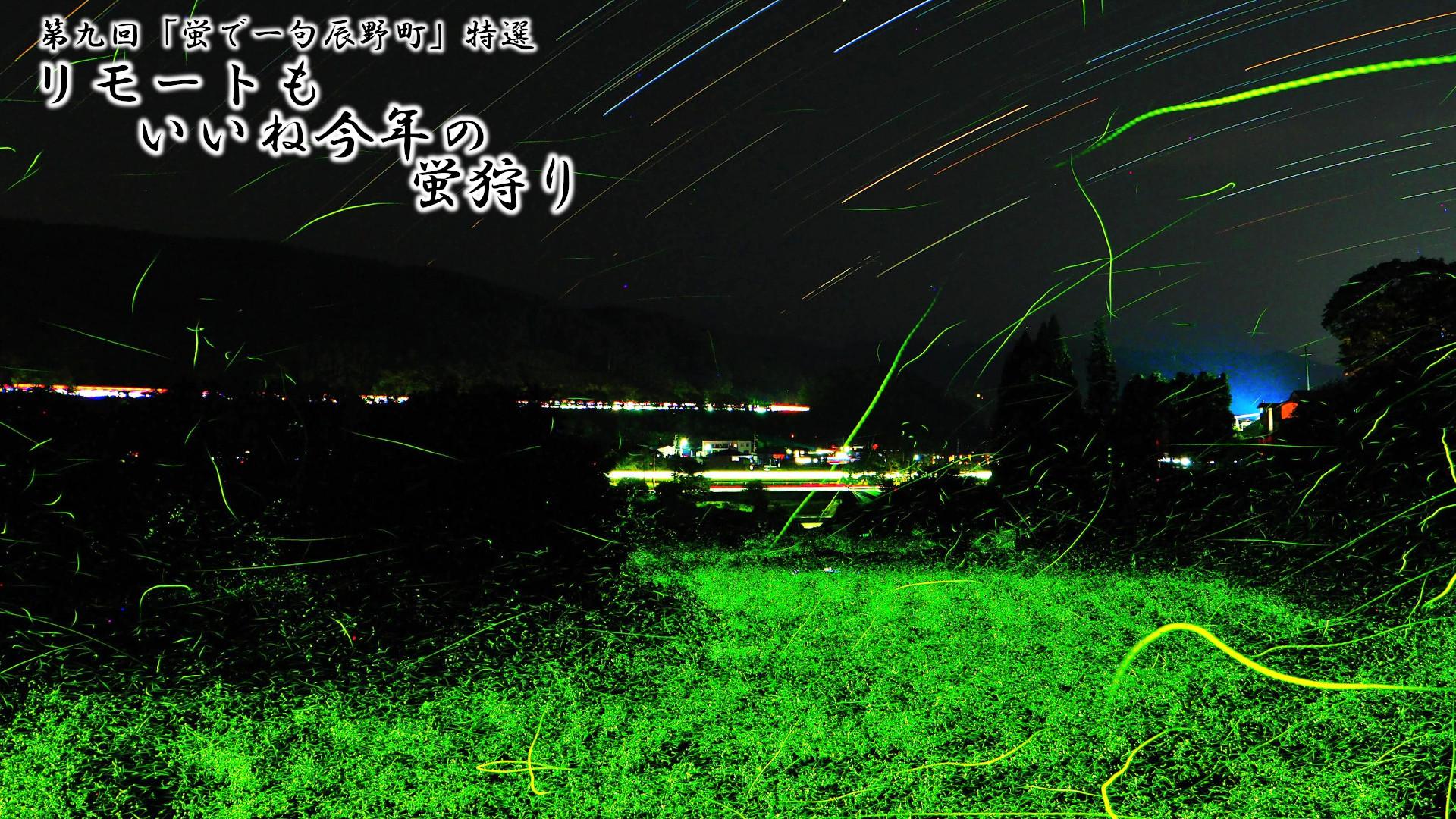 特選 「リモートも いいね今年の 蛍狩り」 写真画像