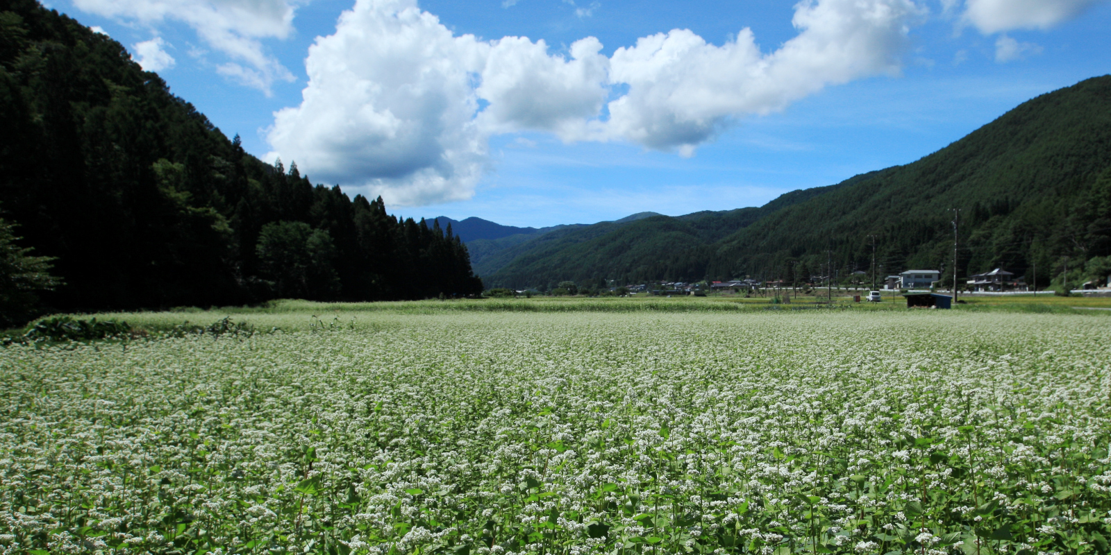 そばの里横川