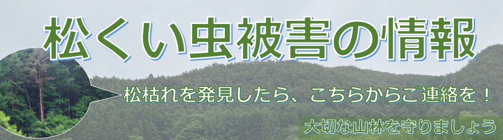20250910_松くい虫_松枯れ_バナー