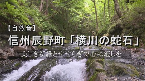 自然音 辰野町「横川の蛇石」
