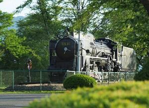 機関車D51の車両が公園に展示されている写真