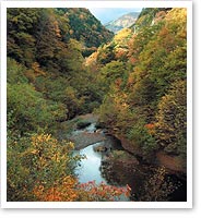 横川渓谷の紅葉の写真