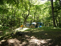 森林に囲まれた蛇石キャンプ場に張られた複数のテントの写真
