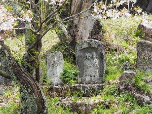 桜が咲く木の下にある道祖神の写真