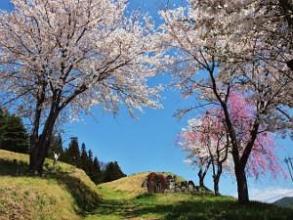 満開の桜の木下に並ぶ道祖神の写真