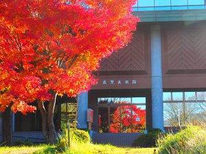 辰野美術館の入り口と、入り口前の木が紅葉している写真