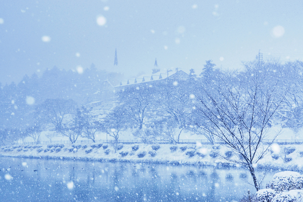 桜の名所、荒神山の雪景色の写真