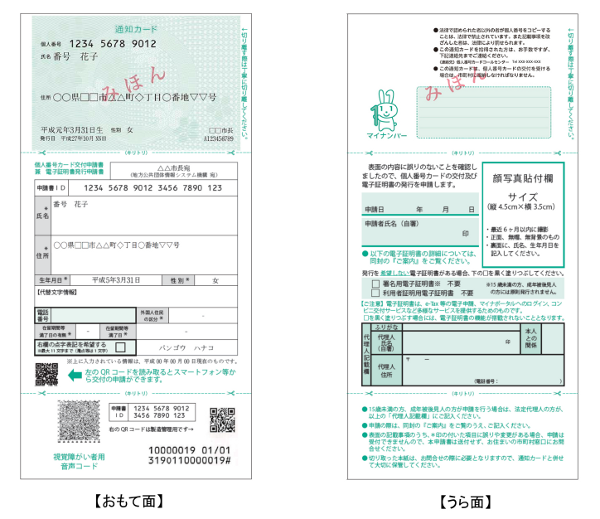 通知カード・個人番号カード交付申請書の見本画像