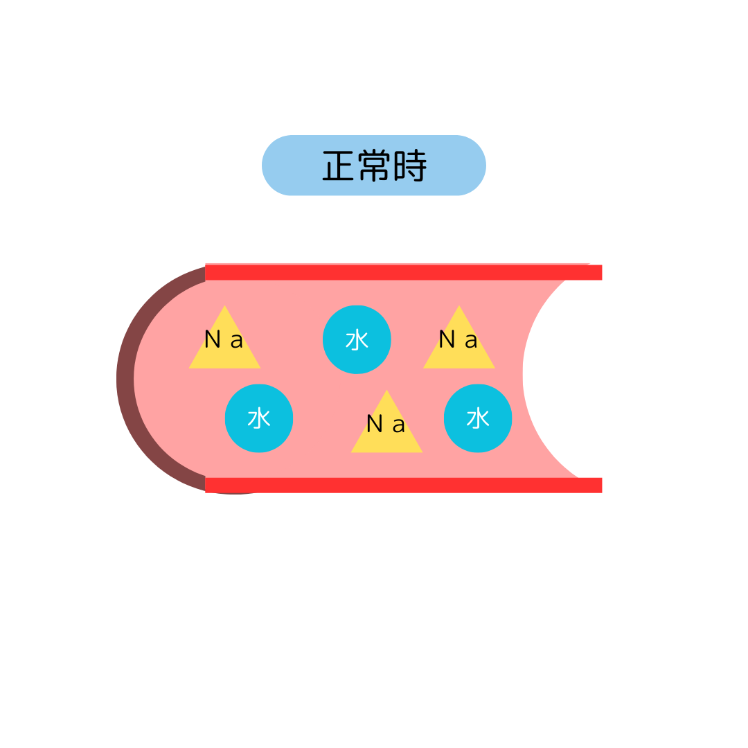 正常血圧時の血管の様子