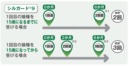 シルガード9接種スケジュール（厚生労働省ホームページより）