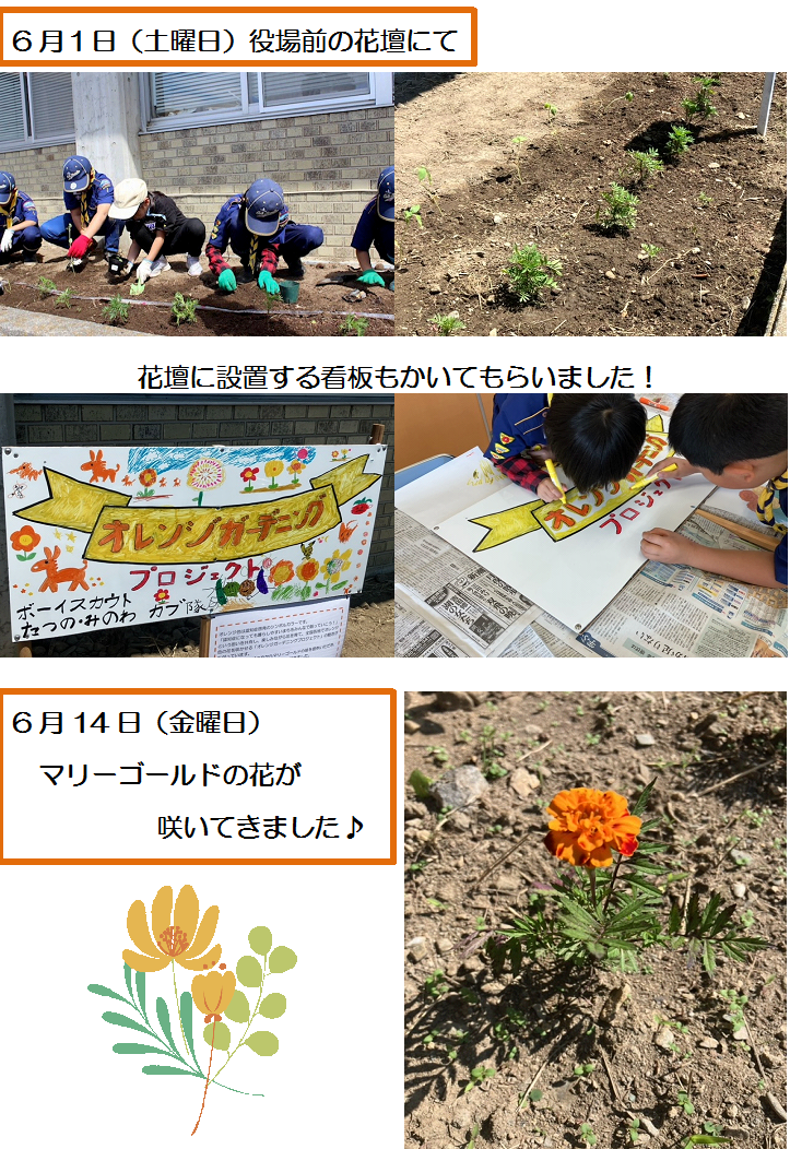 役場前花壇