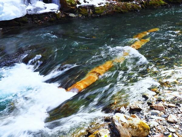 水しぶきをあげる横川の蛇石の写真画像