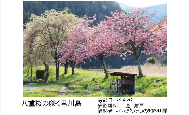 fukujyu