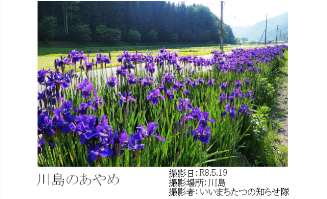 fukujyu