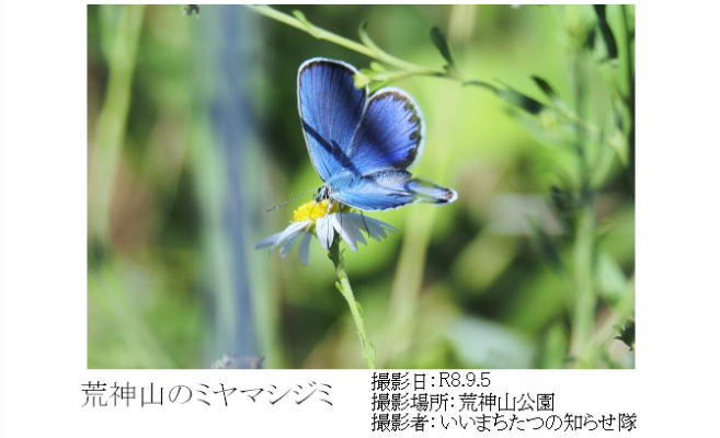 setubunnsou