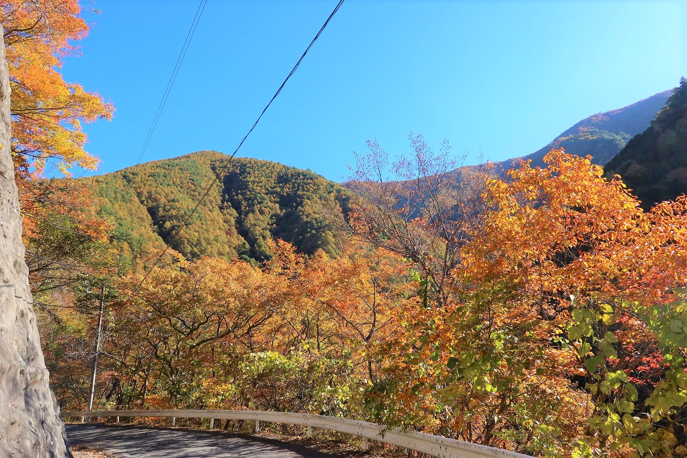 横川ダム～蛇石キャンプ場間紅葉始まり