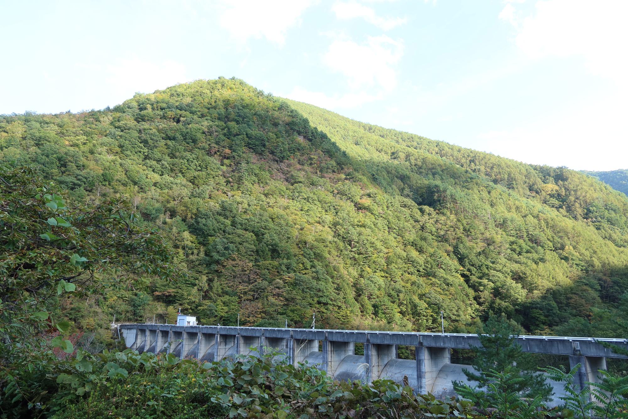 横川ダム青葉