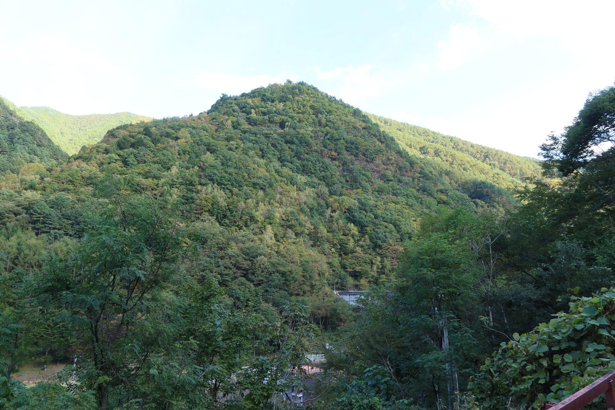 横川ダム青葉