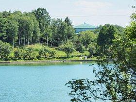 緑に囲まれた池の写真