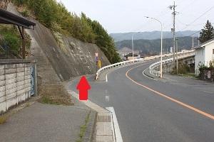 右にカーブする陸橋左側の側道に赤い矢印がさしてある写真