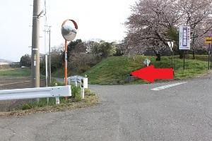右手に桜の木、左手に電信柱とミラーがあり、赤い矢印が左を差している写真