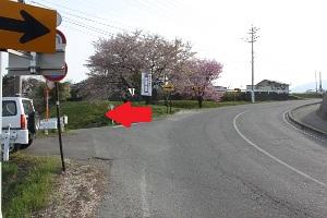 右にカーブした道路の左に赤い矢印が描いてある写真