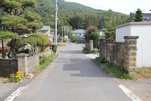 左手に立派な松の木が植わった民家の前の道路の写真