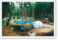 森林公園内にあるオートキャンプ場の写真