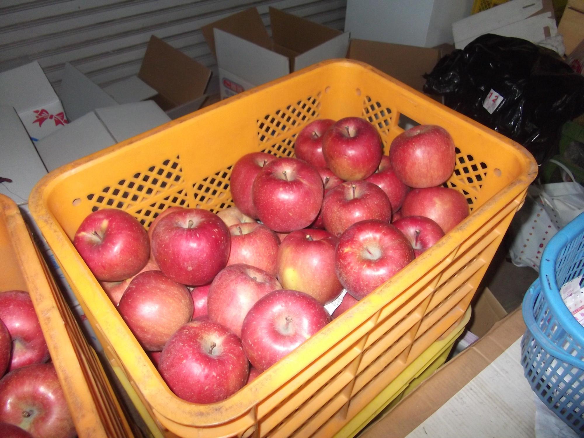 黄色いかごの中に収穫された赤々としたりんごの写真