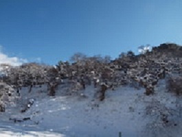 塩嶺王城県立公園