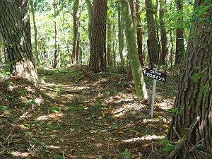 平坦な山道の画像